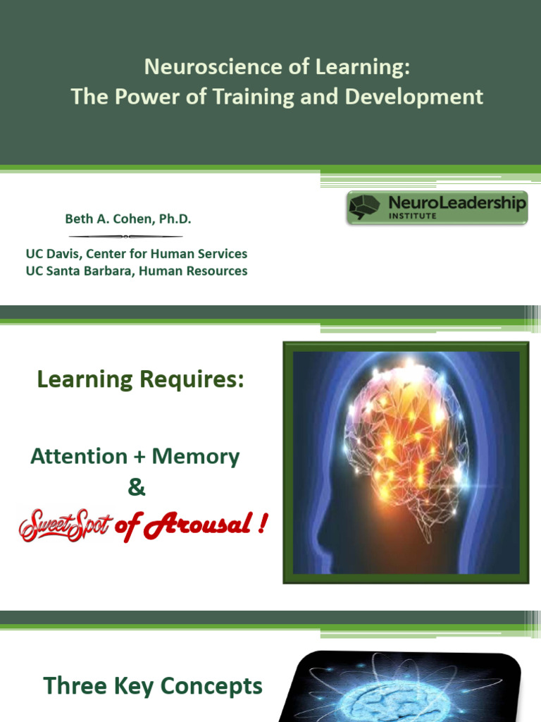 Neuroscience of Learning | PDF | Limbic System | Memory