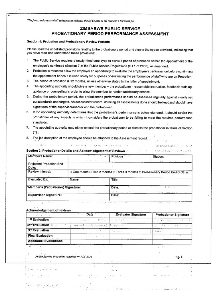 Probation Assessment Template | PDF