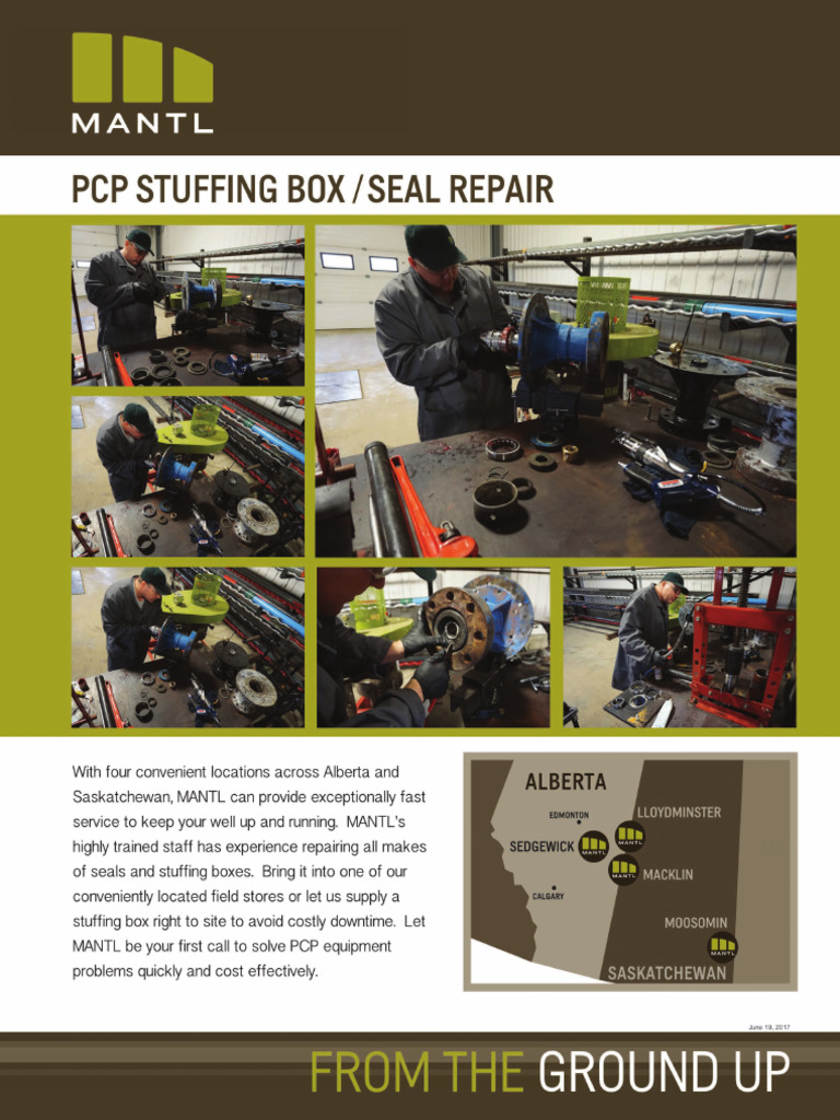 PCP Repair Web | PDF