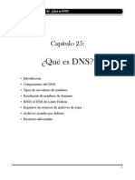 El Servidor DNS (Cap25)