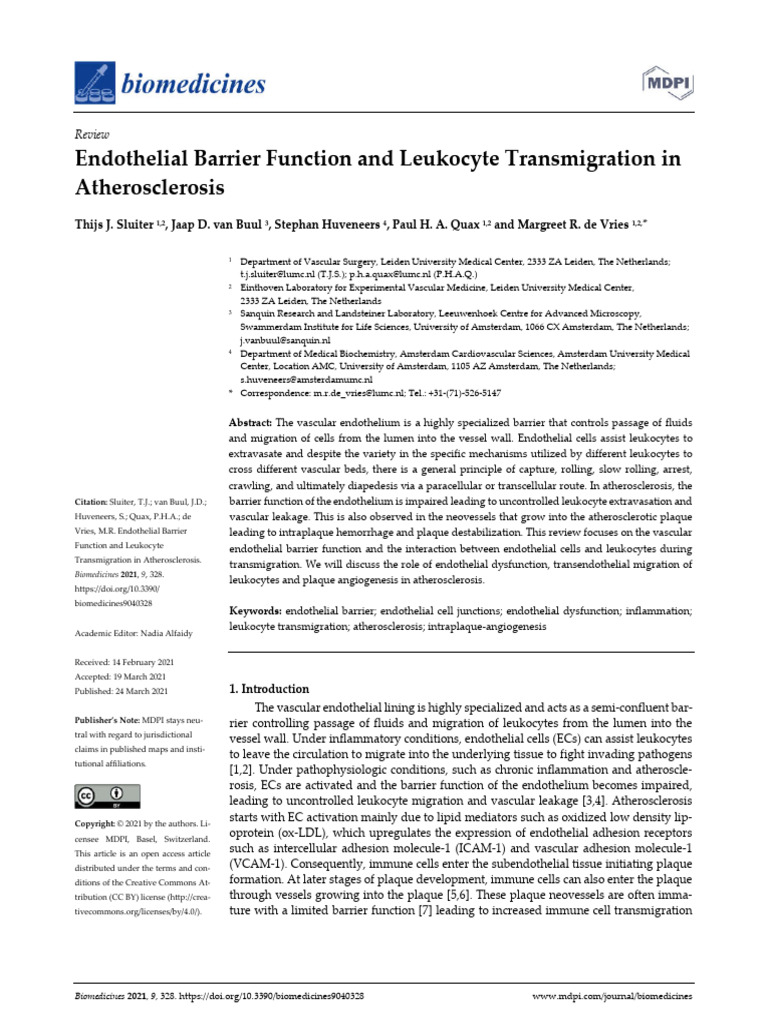 Endothelial Barrier Function and Leukocyte Transmi | PDF | Endothelium ...