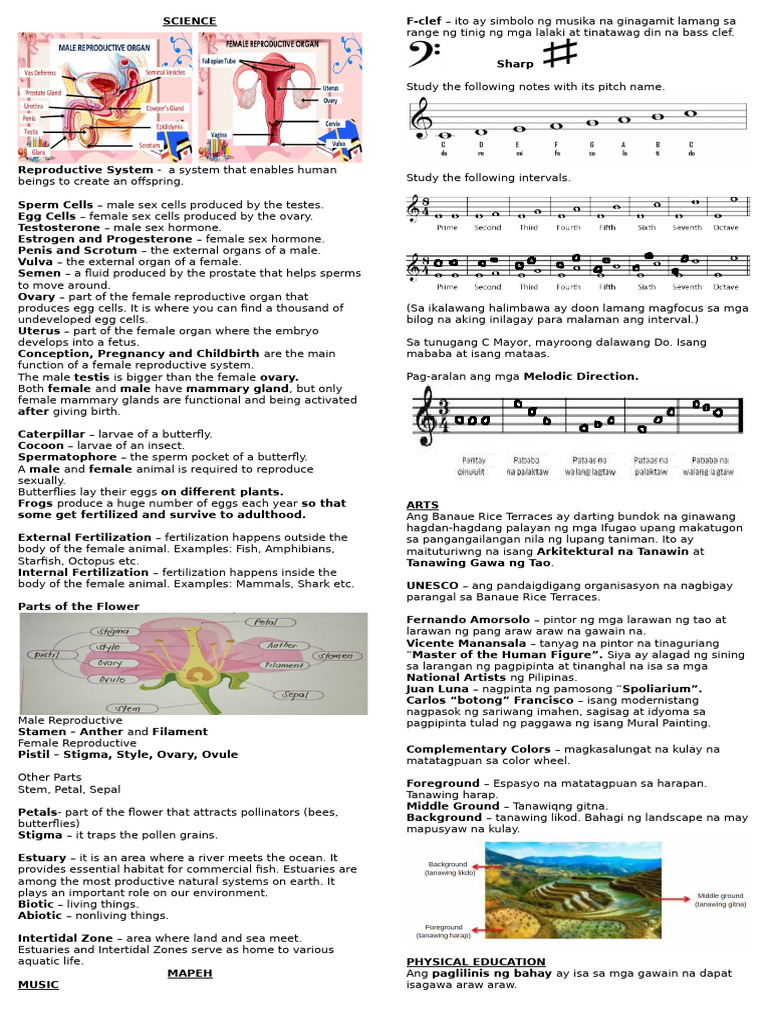 2ND Quarter Pointers To Review | PDF