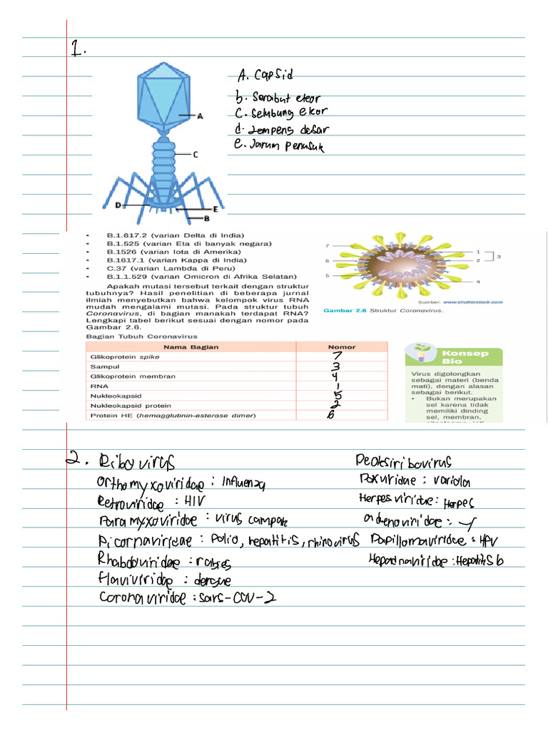 Biological | PDF