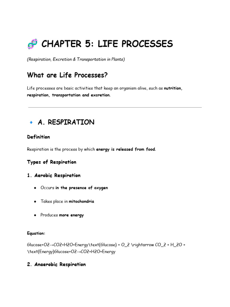 ? Chapter 5 - Life Processes | PDF | Hormone | Cellular Respiration
