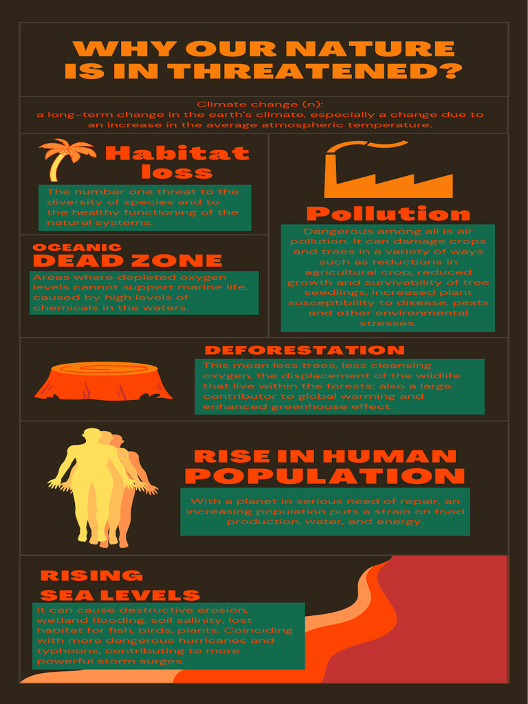 Social Media Best Times Post Infographic | PDF