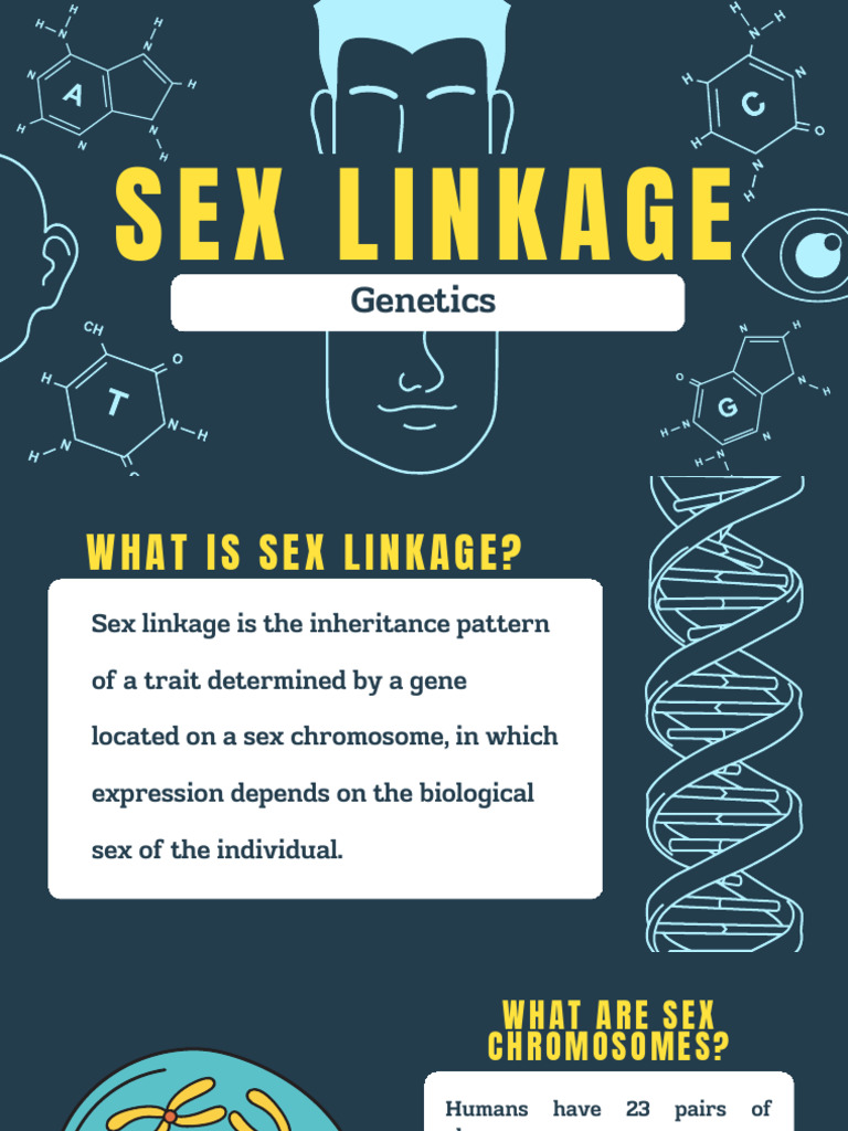Sex Linkage (1) | PDF | Genotype | Genetics