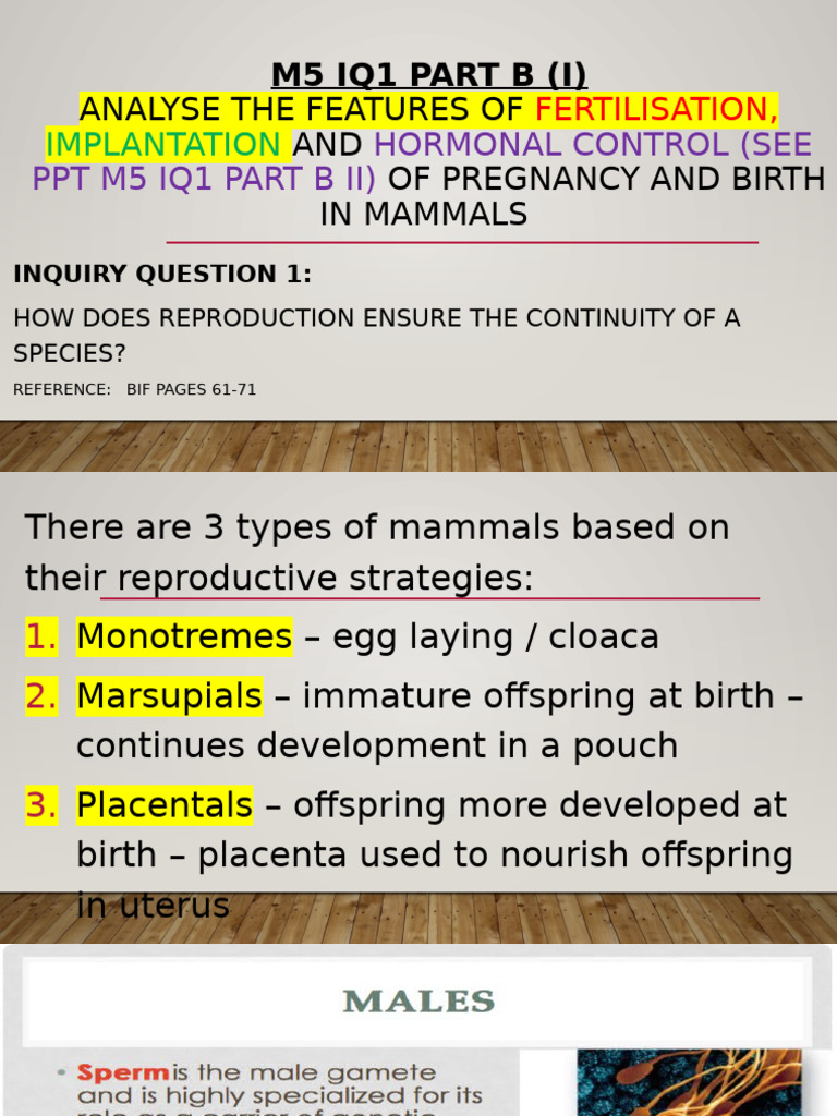 M5 IQ1 Part B i Fertilisation and Implantation 2022 23 (4) | PDF