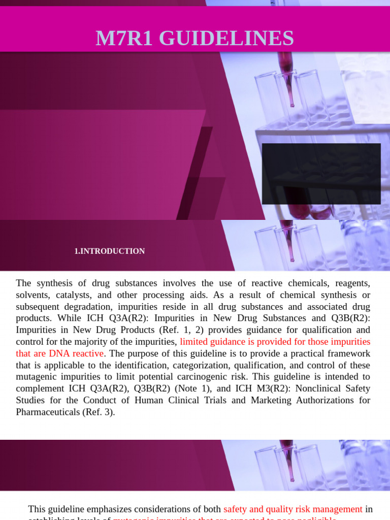 M7 R1 Guideline - Docxx | PDF | Mutagen | Phases Of Clinical Research