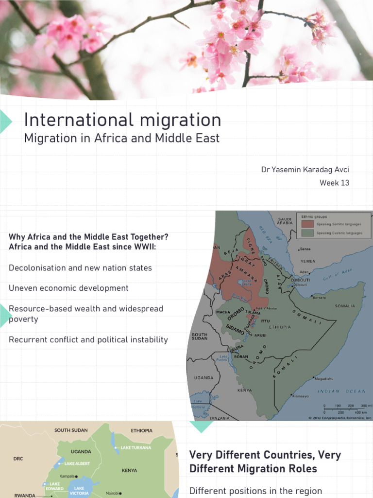 Week 13 1 | PDF | Refugee | Human Migration