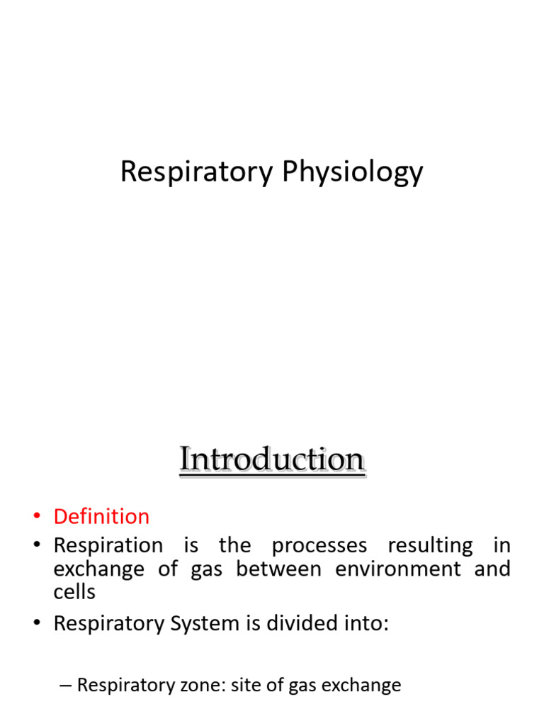 Respiration Notes 104427 | PDF | Respiratory System | Respiratory Tract