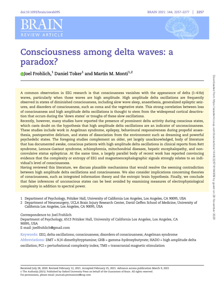 Consciousness Among Delta Waves | PDF | Neural Oscillation ...