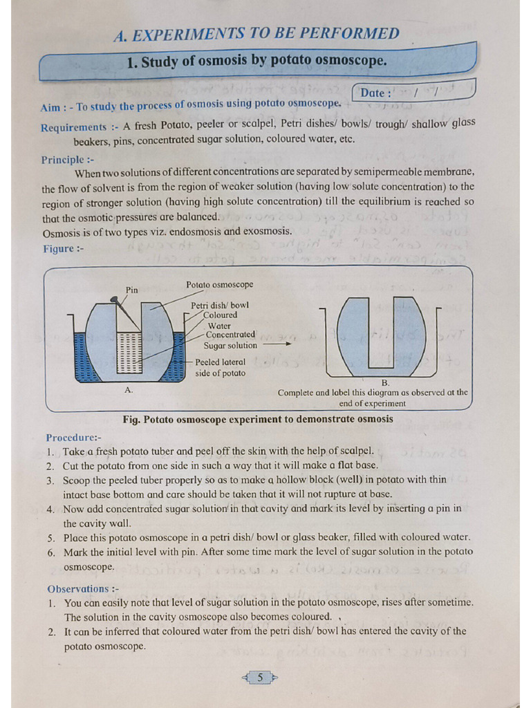 Bio Practical First Section | PDF