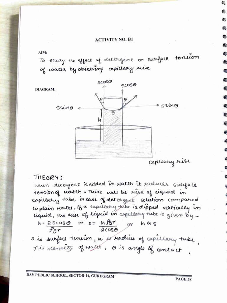 Section B Activities | PDF