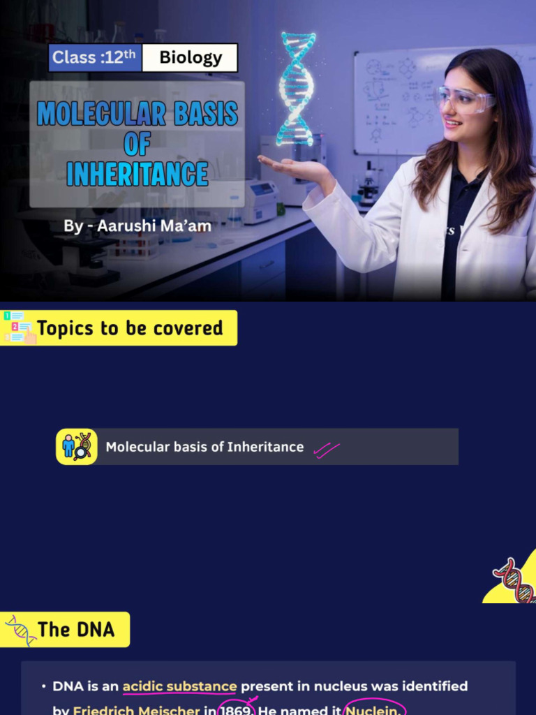 Molecular Basis of Inheritance Class Notes | PDF