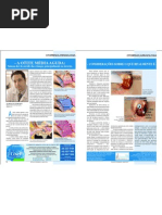 A Otite Média Aguda - Por que média se dói tanto? Considerações.