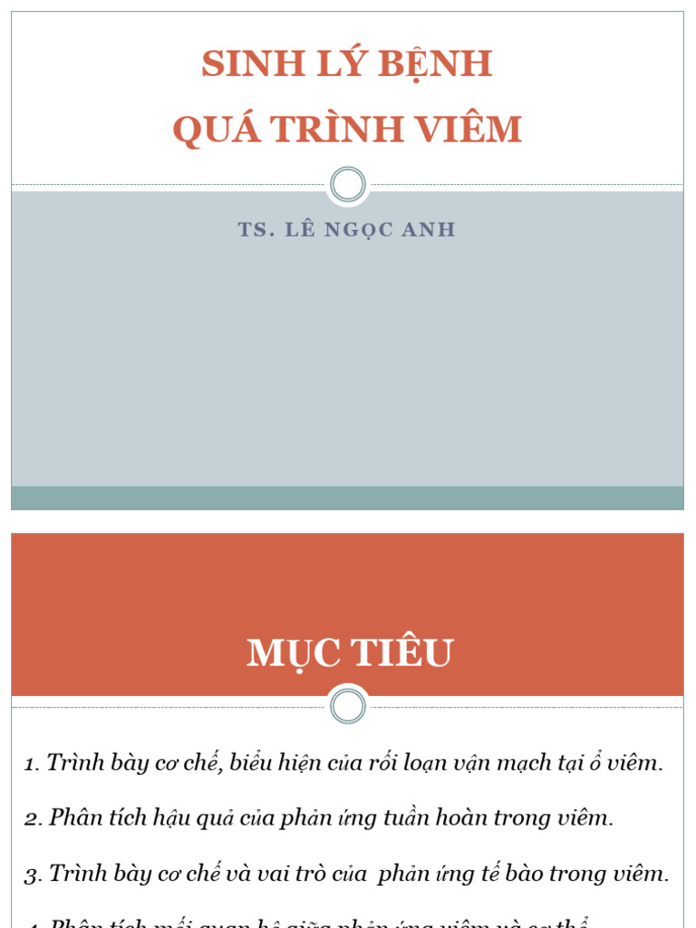 BG. SLB - Viem Slide | PDF