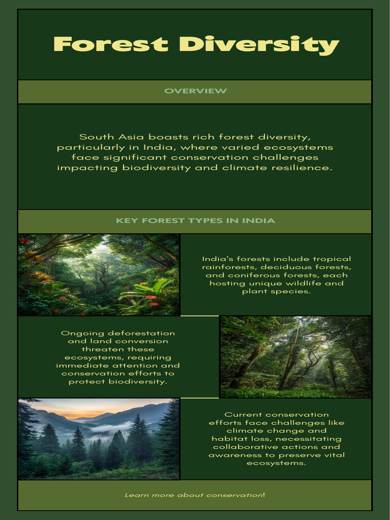Infographic - Forest Diversity | PDF