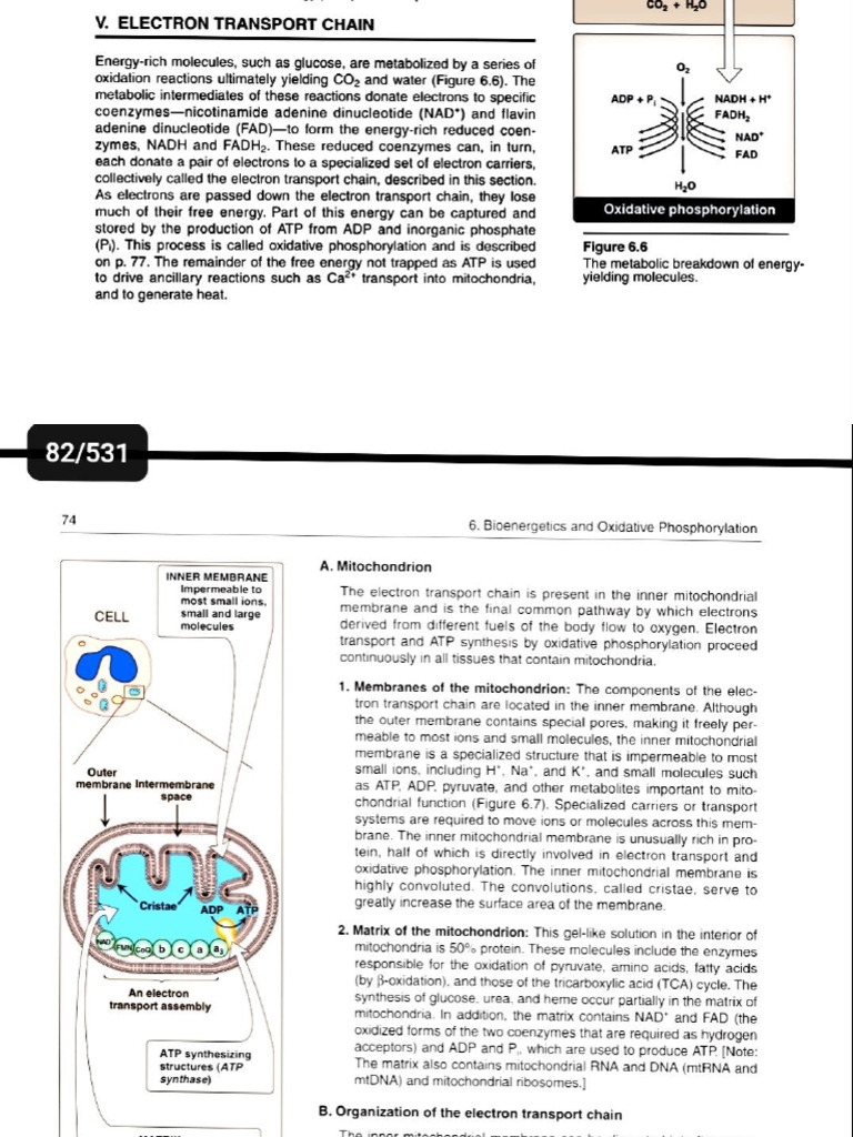 Etc | PDF