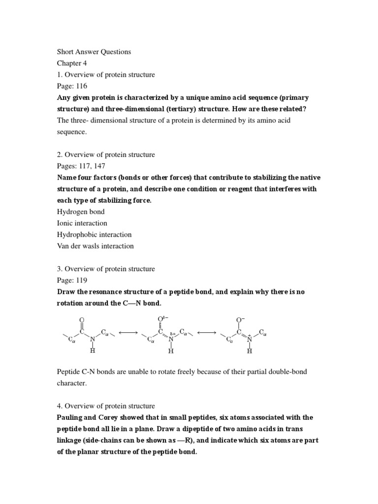 Answer Questions04 PDF Protein Structure Protein Folding