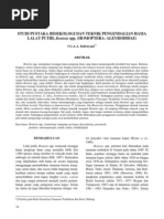Download Studi Pustaka Bioekologi Bemisia by Suryani Titi Astuti SN98801843 doc pdf