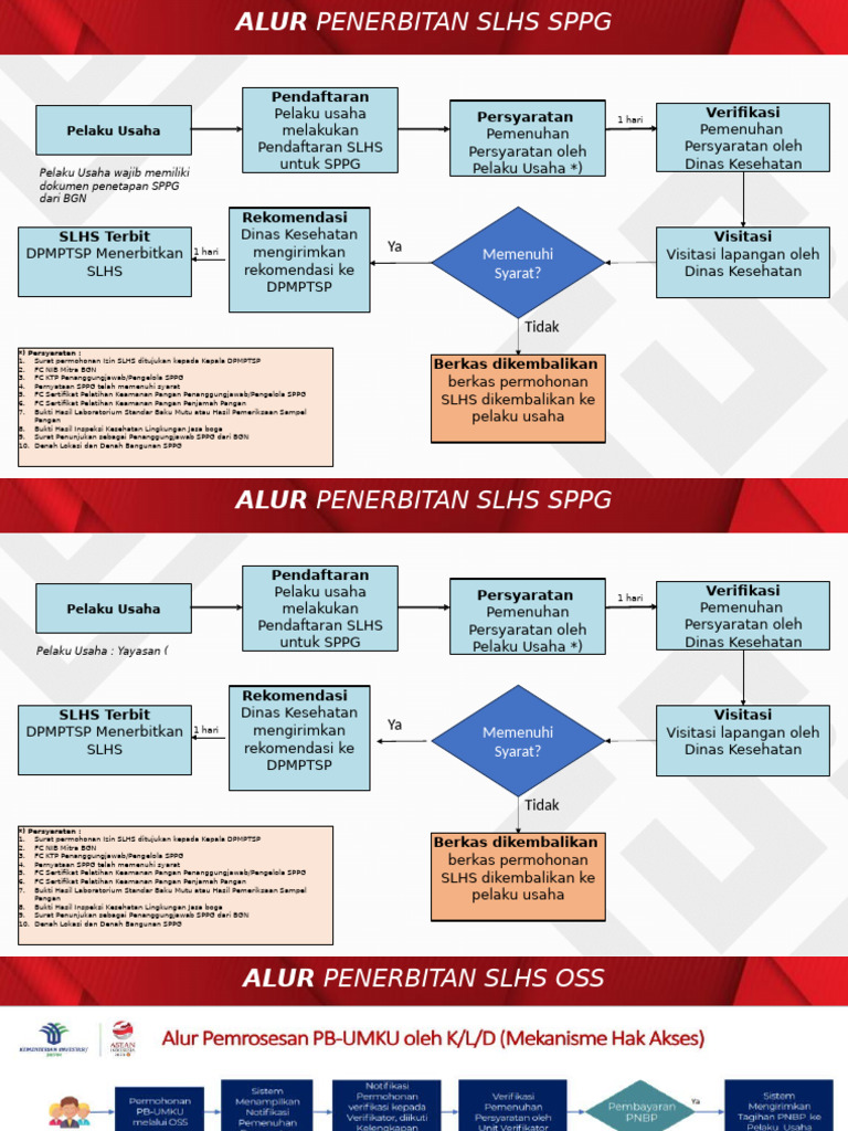 Alur SLHS | PDF