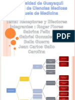 Neuro Anatomia Exposicion