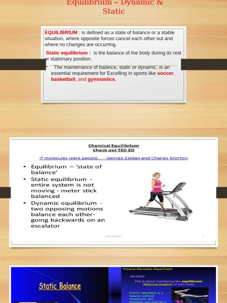 Equilibrium - Dynamic & Static | PDF