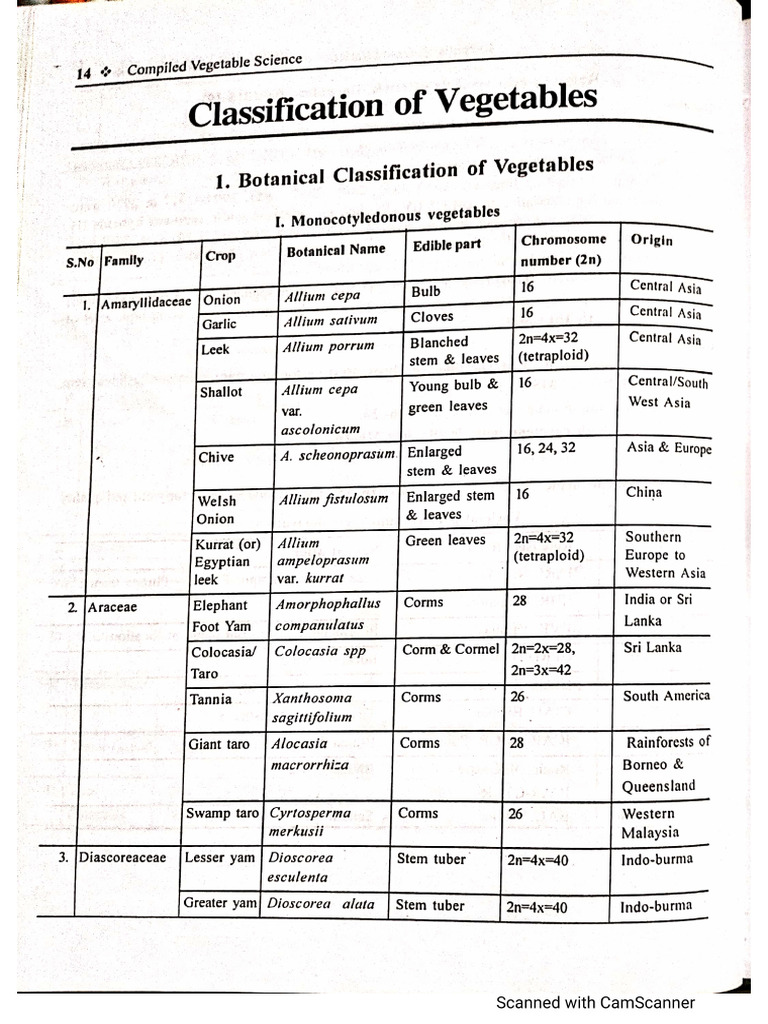 Botanical Classification of Vegetables | PDF