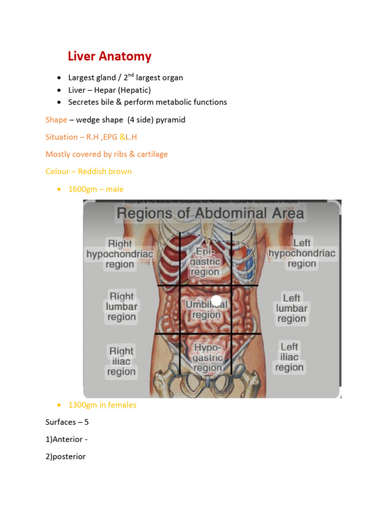 5_6312292265037401021 | PDF | Liver | Human Anatomy