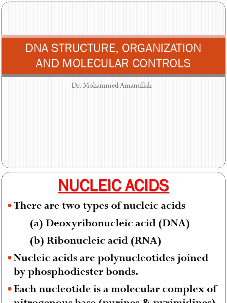 2026 Molecular Biology 225 | PDF | Translation (Biology) | Dna