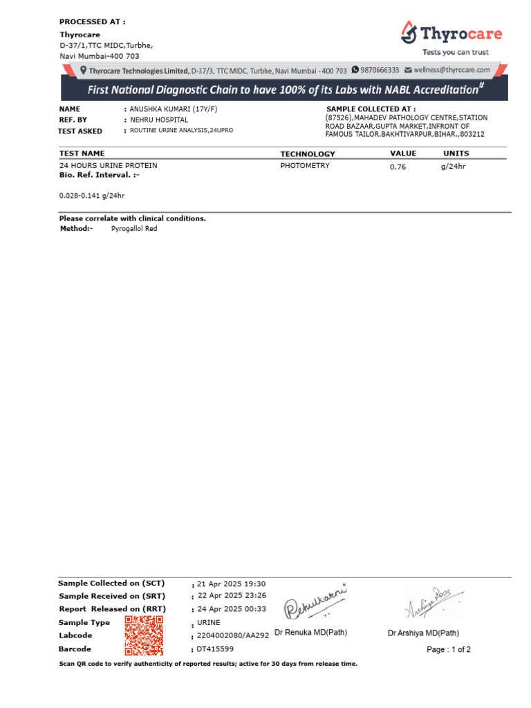 Report | PDF