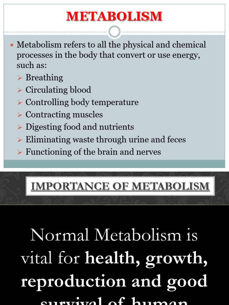 Metabolism and Bioenergetics | PDF | Metabolic Pathway | Metabolism