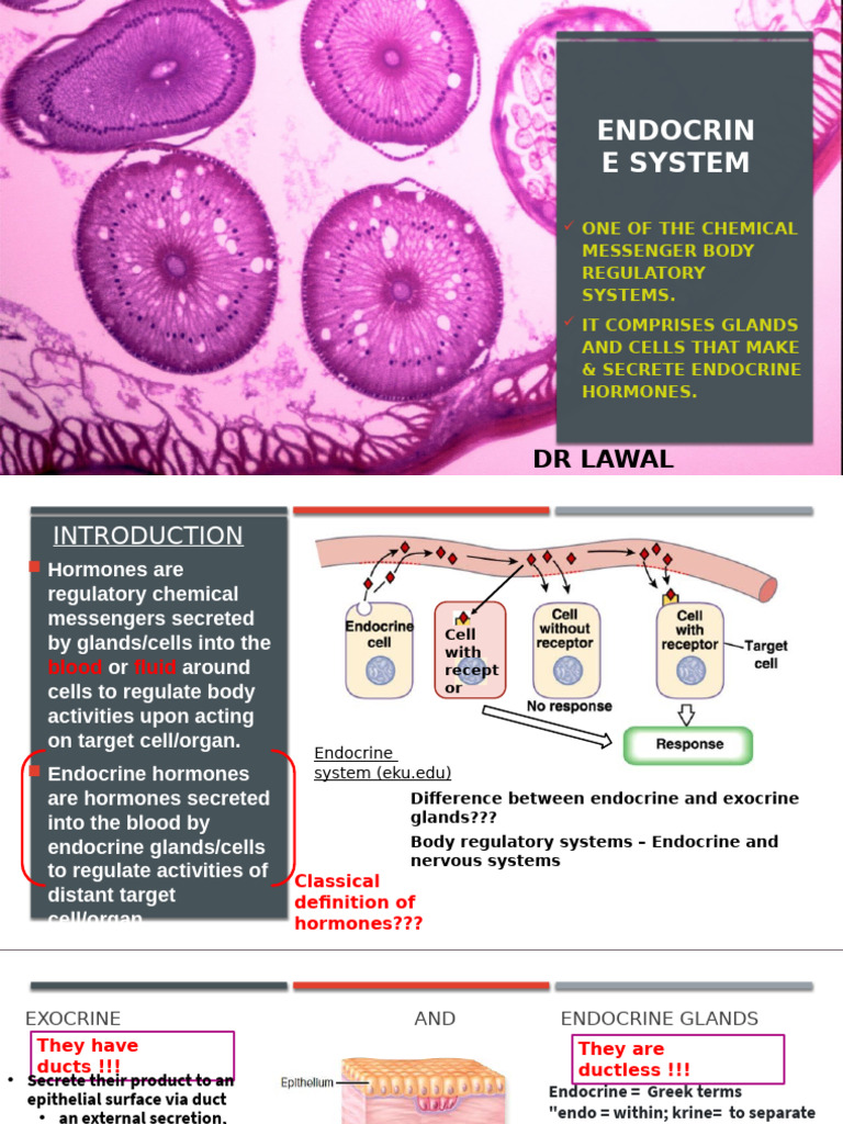 Endocrine System Pathophysiology | PDF | Hypothyroidism | Thyroid