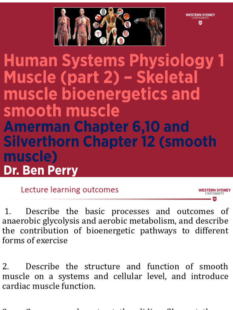 Lecture 4 Muscle Part 2 1pp | PDF | Muscle Contraction | Cellular ...