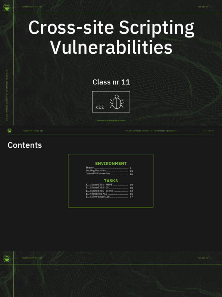 Cross-Site Scripting Vulnerabilities | PDF | Web Technology | Software