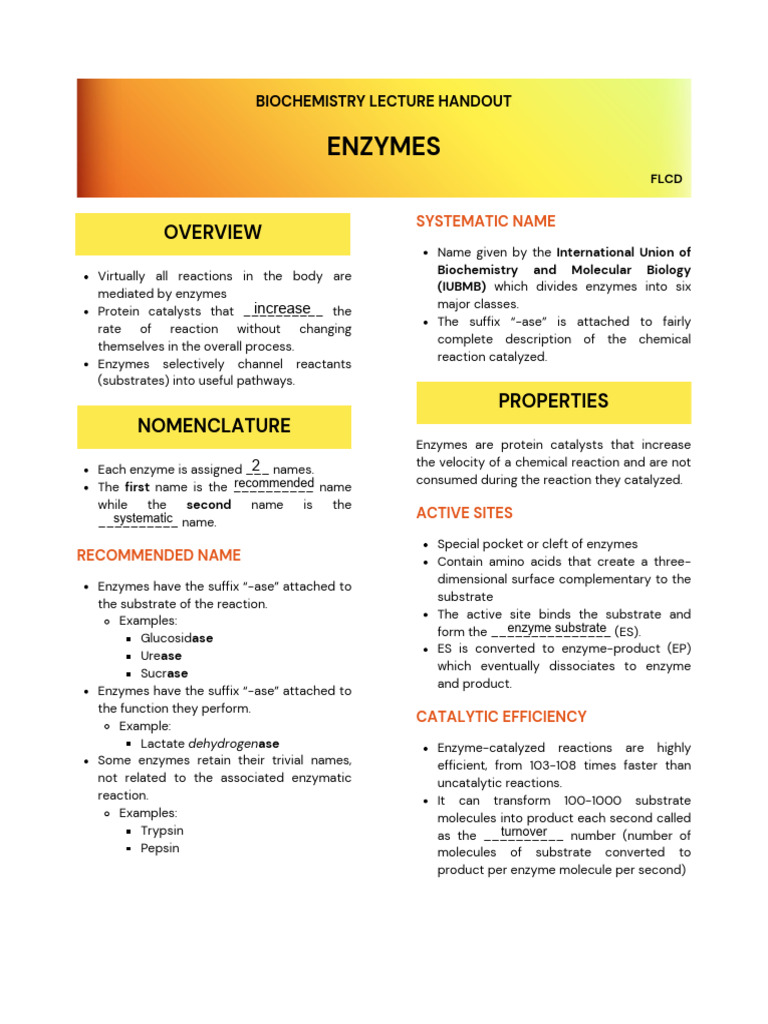 BCHE02M Enzymes Handout | PDF | Enzyme Inhibitor | Enzyme