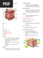 Skin Chemical Composition Overview | PDF | Epidermis | Skin