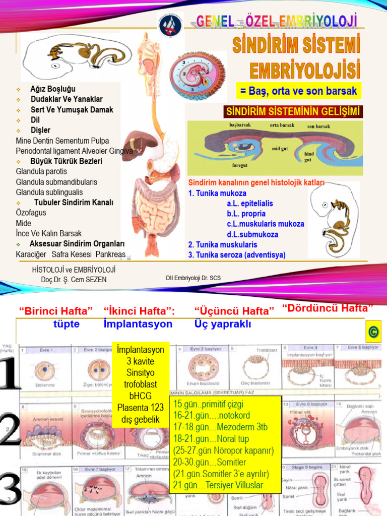 Embriyo Gis Sistem2025 | PDF