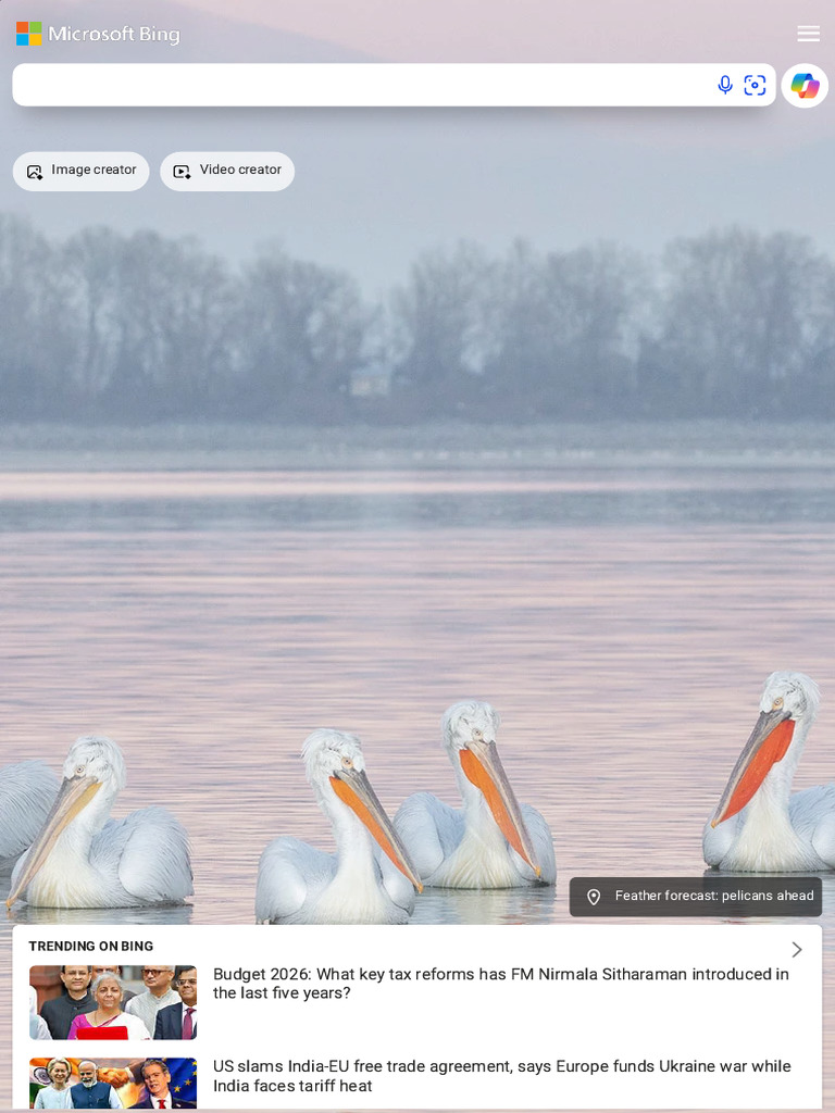 Search - Microsoft Bing | PDF