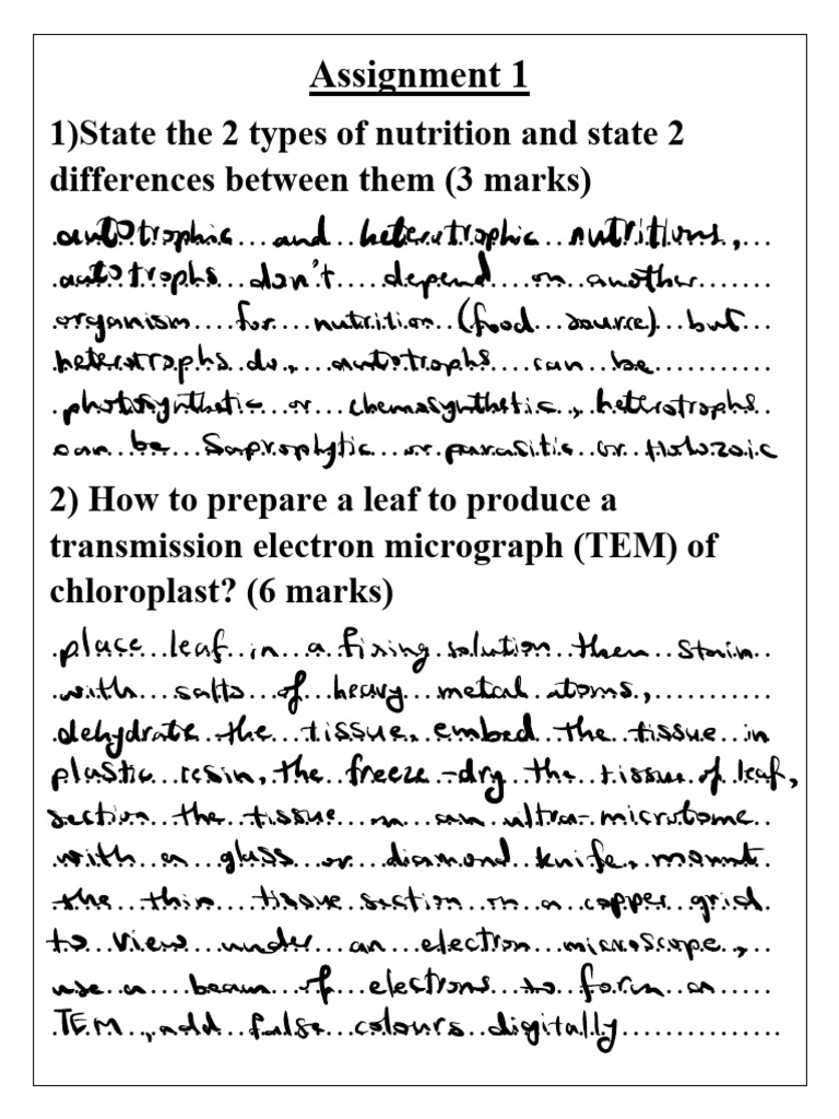 Assignment 1 | PDF | Biochemistry | Chemistry