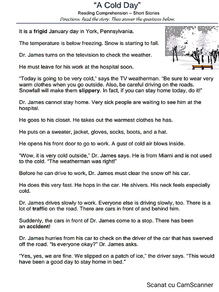 Reading - A Cold Day | PDF