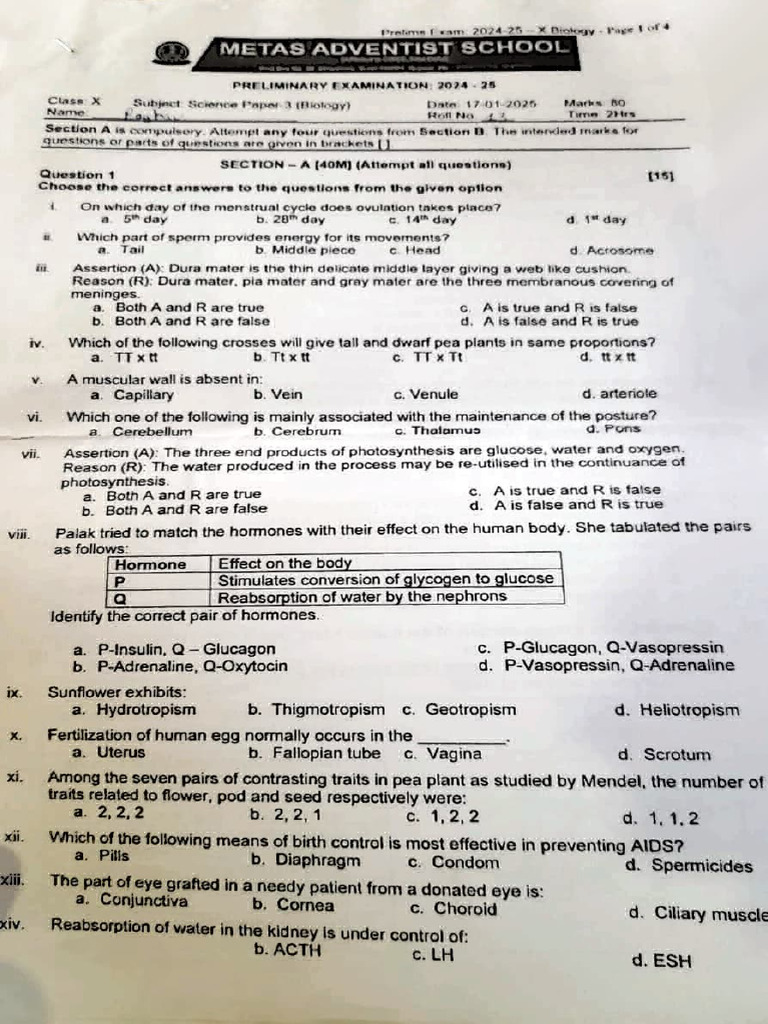 Bio 2024-25 Prelims Paper | PDF | Heart | Anatomy