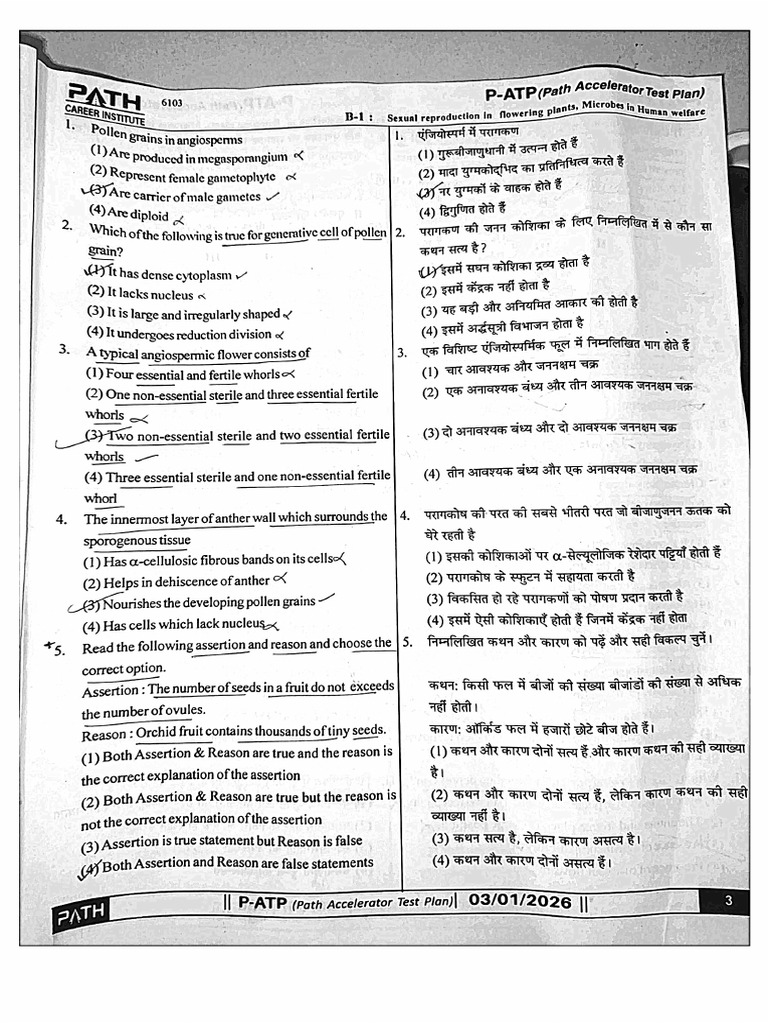 Path Test 03 ?? | PDF