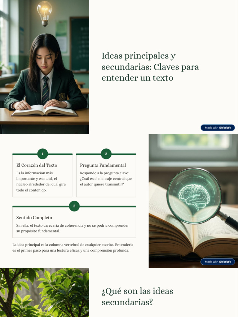 Ideas Principales y Secundarias Claves para Entender Un Texto | PDF