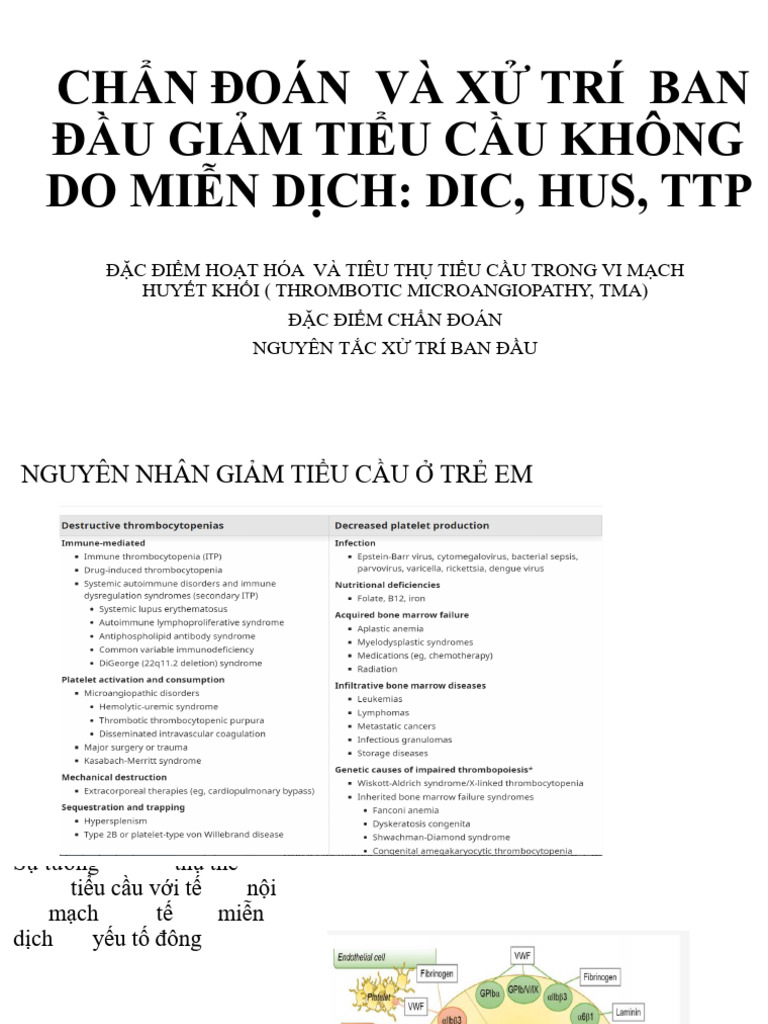 Chan Doan Va Xu Tri Ban Dau Giam TIEU Cau DIC HUS TTP | PDF
