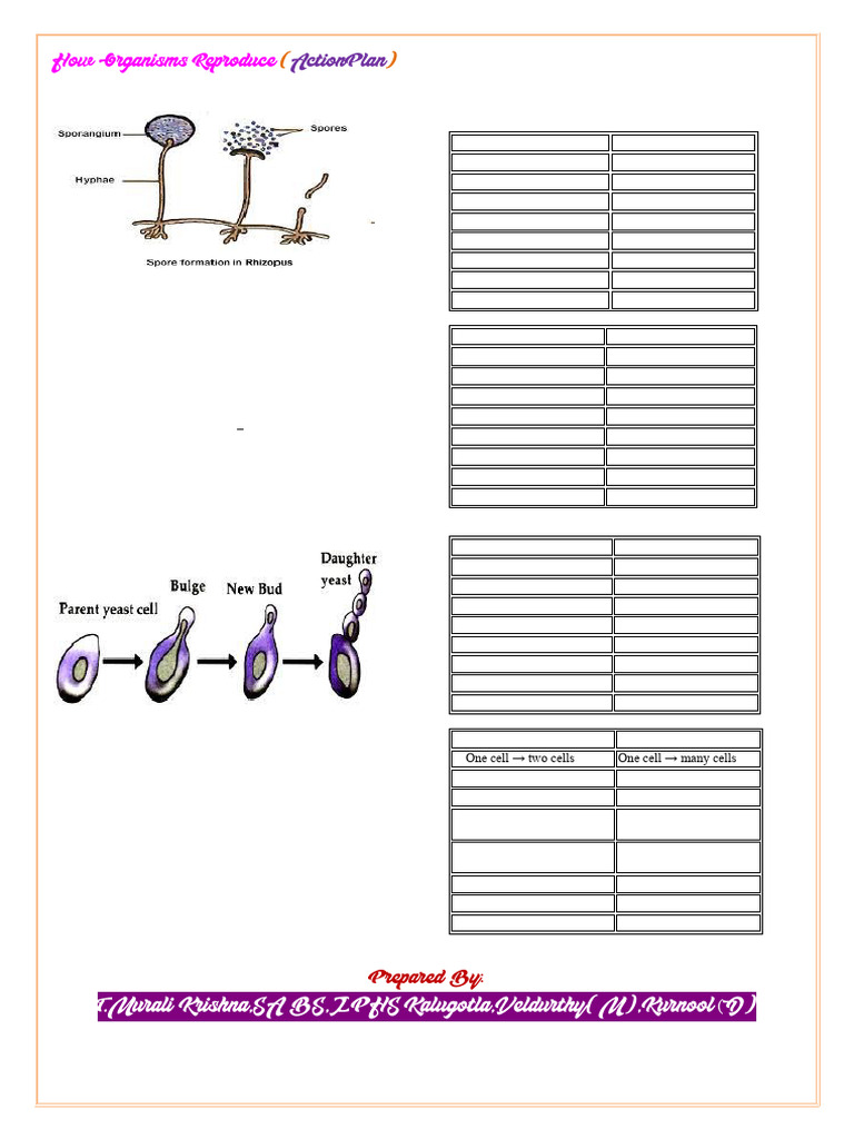 How Organisms Reproduce (Action Plan) | PDF | Sexual Reproduction ...