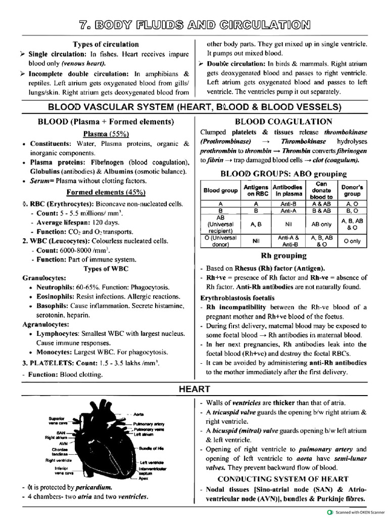 18 Body Fluids N Circulation Exam Capsule Notes | PDF