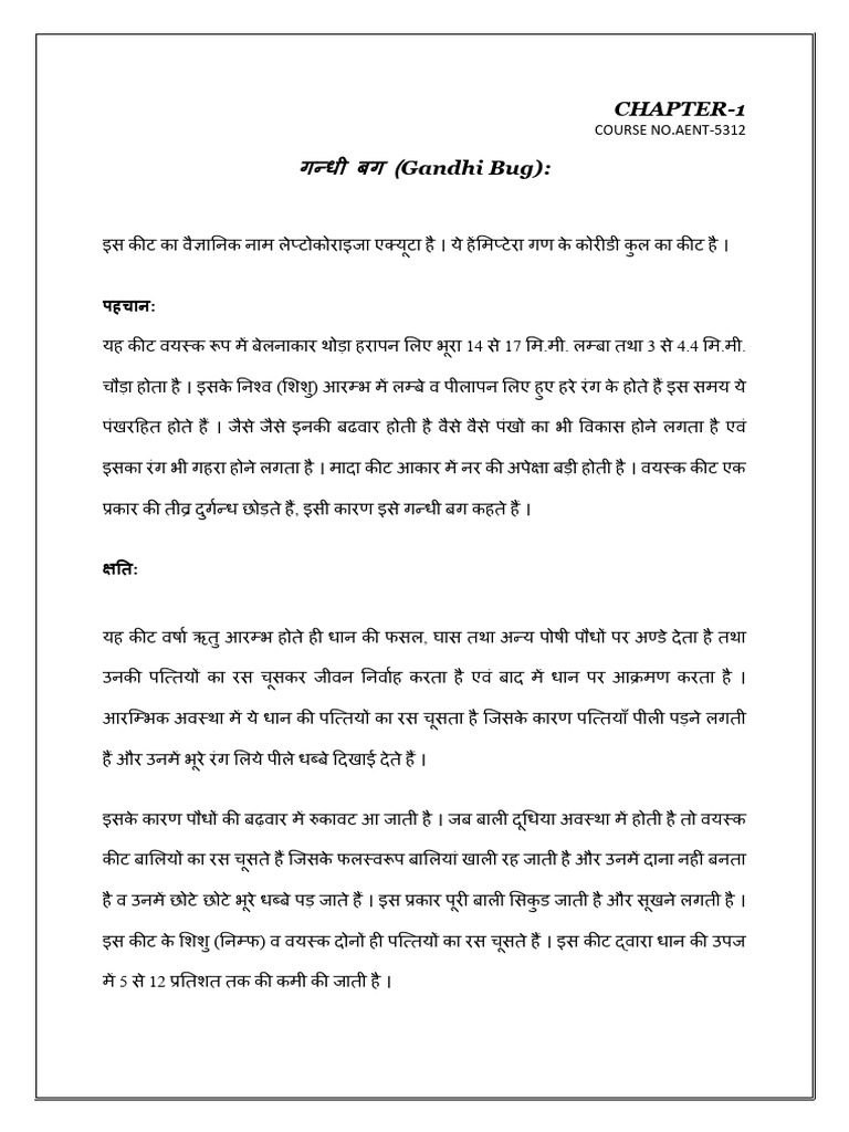 Gandhi Bug | PDF