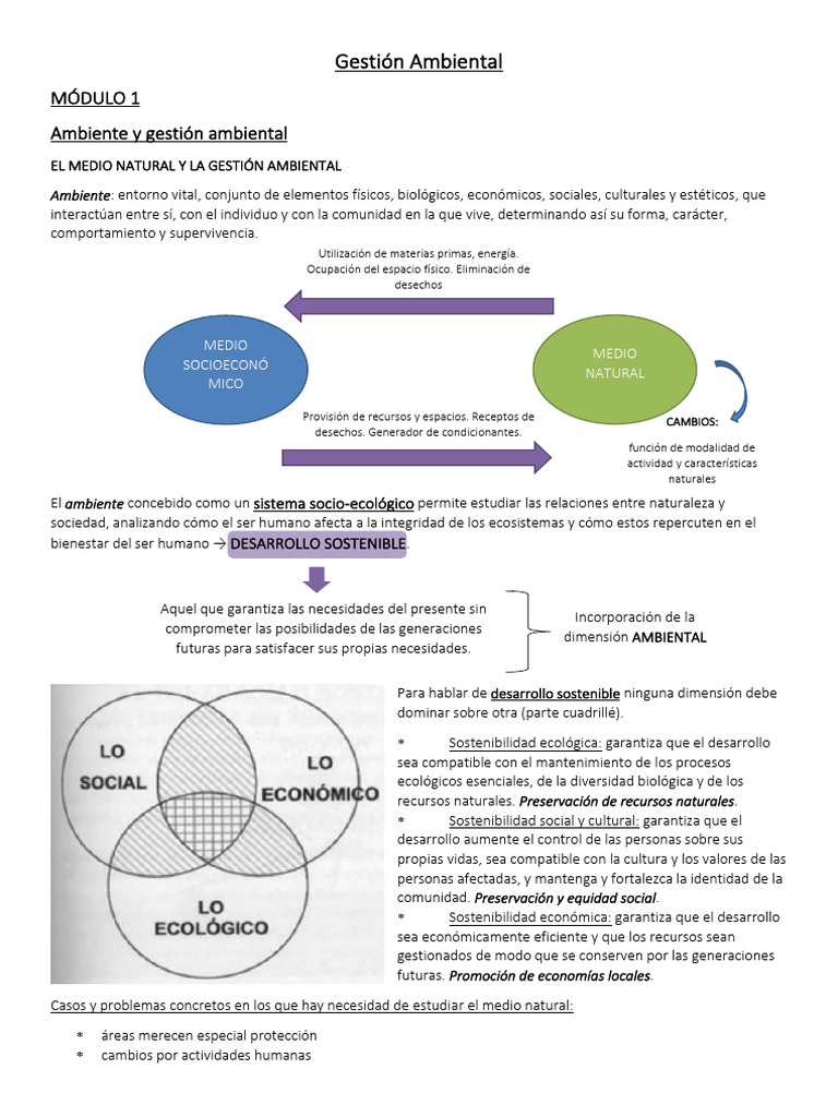 Resumen Gestión Ambiental - UNLP | PDF | Suelo | Entorno natural