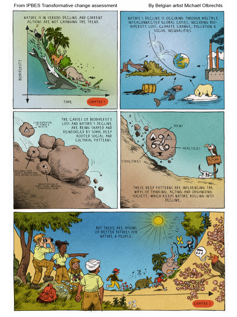 Transformative Change Assessment Comic Be Ip Be SNF P | PDF